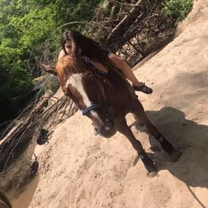 Meet your Posher, Julia